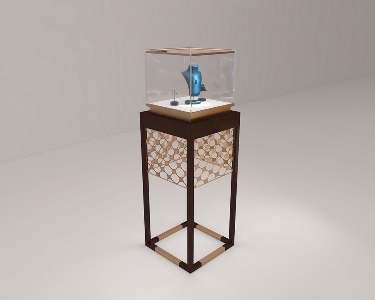 jewelry showcase display