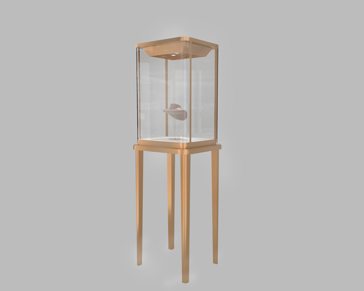 jewelry showcase display