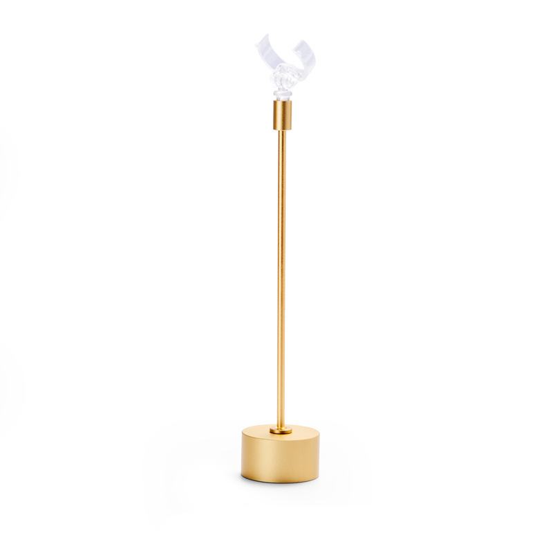 High-end display jewelry pieces