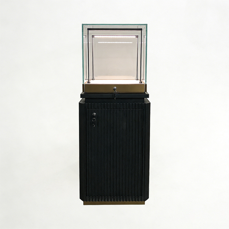Watch store display case
