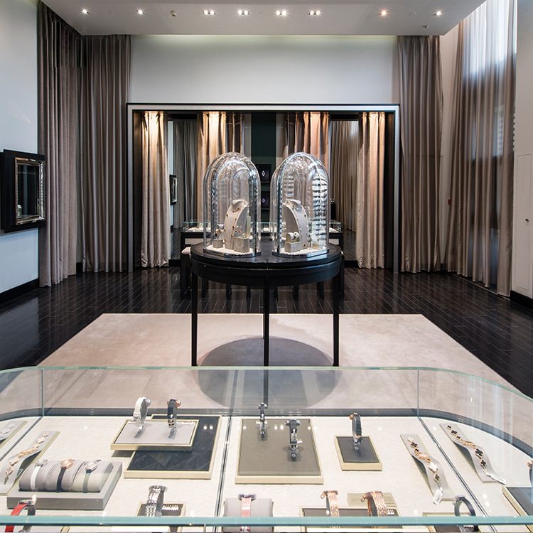 Watch store display case
