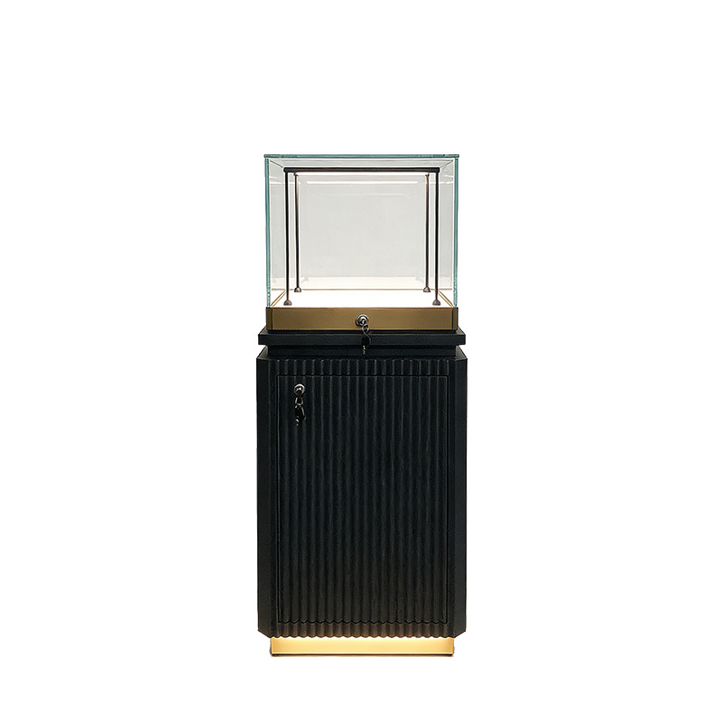 Watch store display case