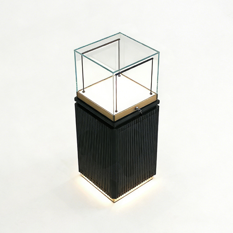 Watch store display case