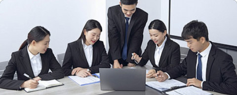 The Sales Team